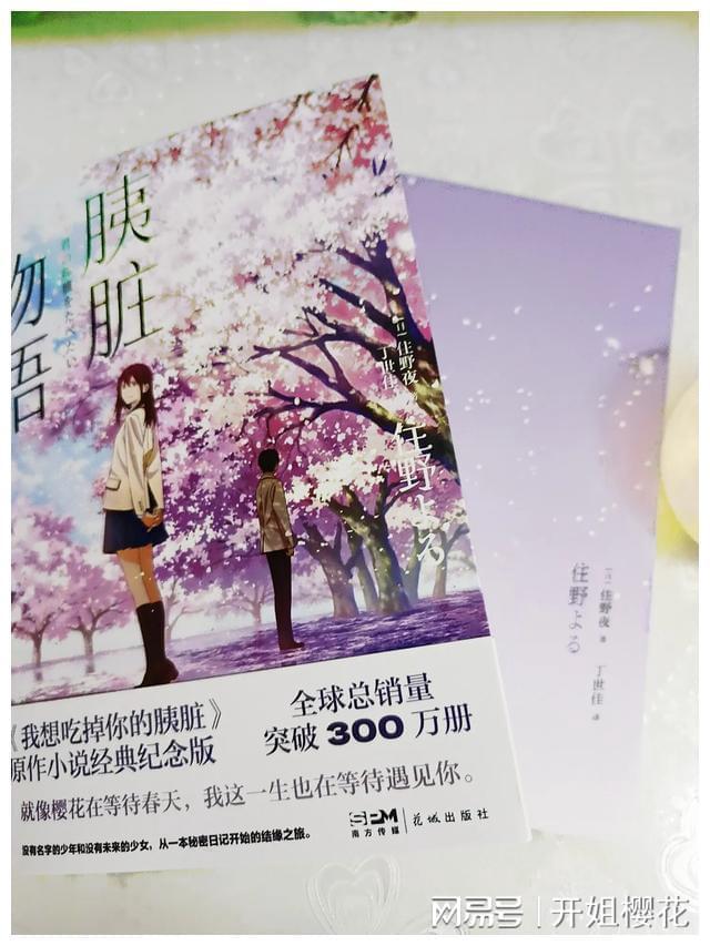 全民烧脑3去广告版